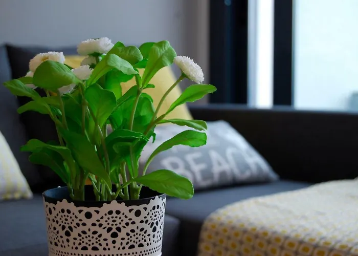 Apartamento Casa Punta Prima Iii